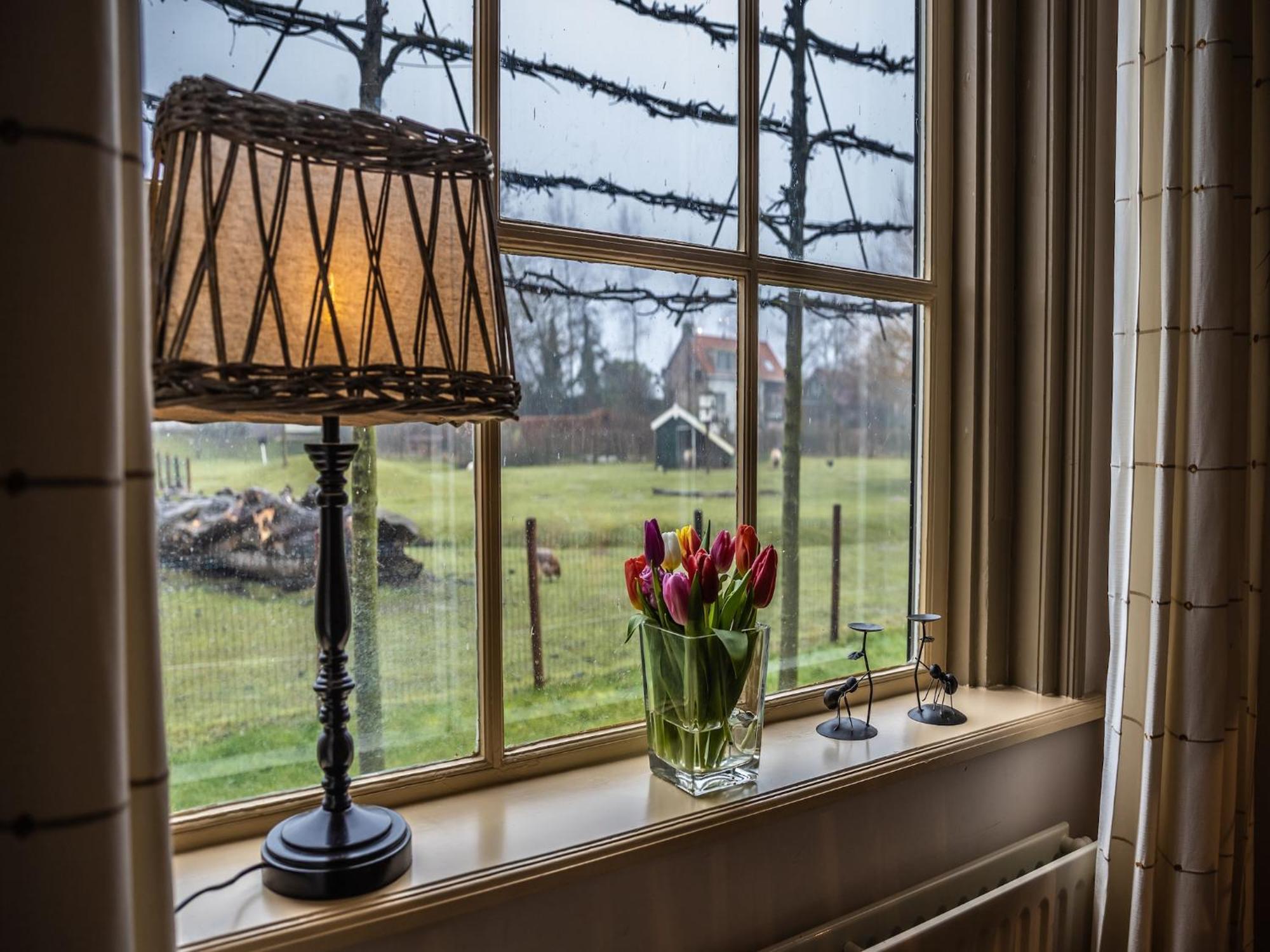 Cozy Holiday Home In Vrouwenpolder Close To The Beach Exteriör bild